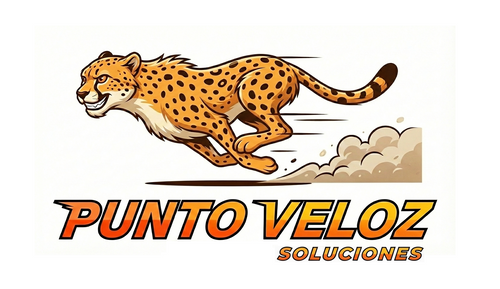 Punto Veloz Soluciones